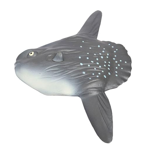 Gefälschte Fischspielzeug - Simuliertes Ozeans Sonnenfische, Sea Fischmodell | Hausdekorationspädagogisches Kinderspielzeug, Detaillierte Ozeans Sonnenfischfigur, Meeresbiologie Unterrichtshilfe Fisch Gefälschte Fischspielzeug - Simuliertes Ozeans Sonnenfische, Sea Fischmodell | Hausdekorationspädagogisches Kinderspielzeug, Detaillierte Ozeans Sonnenfischfigur, Meeresbiologie Unterrichtshilfe Fisch von Generic