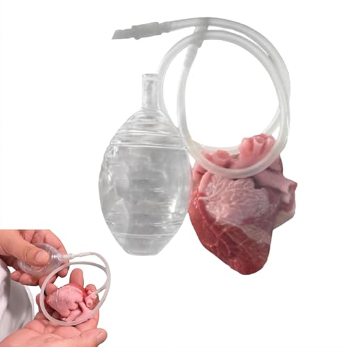 Gefälschte Herzrequisite, Gruseliges Blutiges Herz Stressball, Herzförmige sensorische Bälle - Herz Fidget Balls, Realistische Herzkugel, Blutige Halloween Requisite Gefälschtes menschliches Herz für von Generic