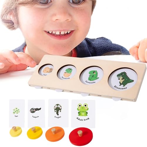 Gehirnpuzzle-Set, wissenschaftliches Spielzeug für Kleinkinder, kreatives Puzzle, Lernpuzzle, tragbares Holz-Kombinationsset, Lernspielzeug für den Garten von Generic