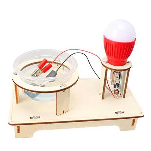 Generator-Experimentierspielzeug,Generatorspielzeug - Solegenerator Elektrisches Experiment Wissenschaftsspielzeug - Elektrisches Experiment, frühes Lernspielzeug, unterhaltsam und pädagogisch für den von Generic