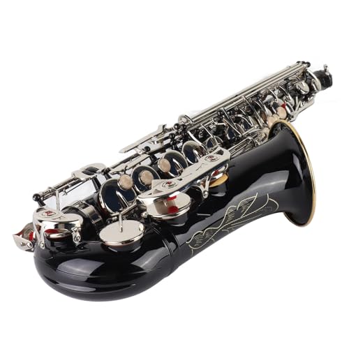 Generic Alto Saxophon, E Flat Black Lack Alto Anfänger Saxophon Tenor Student Saxofon, mit Aufbewahrungstasche, Pinsel, Reinigungsstoff, Saxophonhalsriemen von Generic