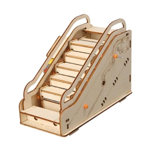 Generic DIY Science Toy Mini Rolltree Model STEM Projekt für Kinder Kinder Erwachsene von Generic