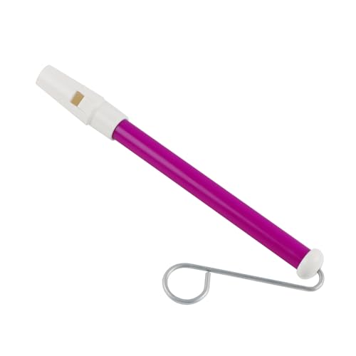Generic Flöte, Flöteninstrumente Musikinstrumente Klarer und Lautes Geräusch mit Schiebehebel für Kinder und Erwachsene (PURPLE) von Generic