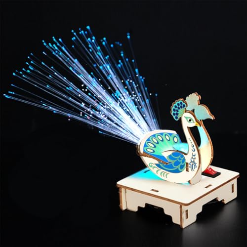 Glasfaser-Lichthandwerk, Glasfaser-Lichthandwerk, Mädchenherstellungsprojekt für Kinder, Glasfaserlampe, Classroom Laboratory Group Activity Circuit Experi von Generic