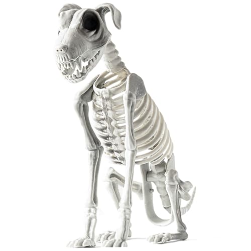 Gruseliger sitzender Hund Skelett Statue - Gruselige Knochen Schädel Dekoration, Perfekt für Spukhaus-Partys von Generic