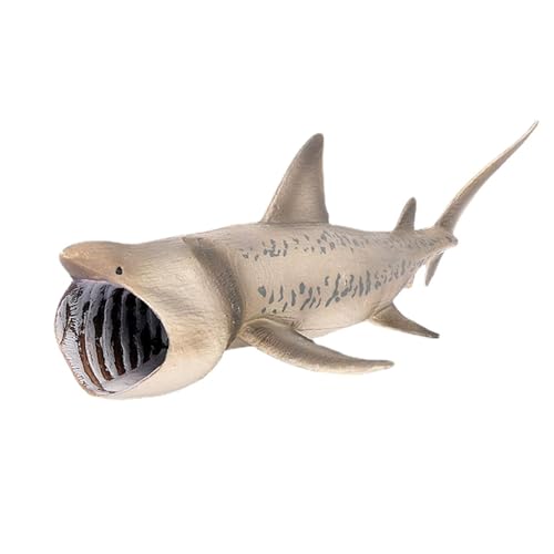 Haifischmodell-Spielzeug, Realistische Haifischfiguren | Meeresozean Animal Toys | Peregrine Tiburon Spielzeug von Ozeantieren, Spielzeug für Haifischhaie Haifischmodell-Spielzeug, Realistische Haifischfiguren | Meeresozean Animal Toys | Peregrine Tiburon Spielzeug von Ozeantieren, Spielzeug für Haifischhaie von Generic