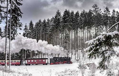 Holz Kinderpuzzle 1000 Teile, Dampflokomotive Auf Der Eisenbahn, Winterwald Klassische Puzzle 75X50Cm von Generic