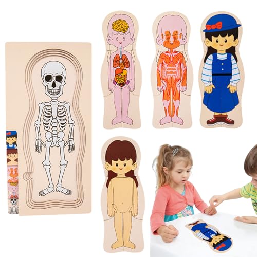 Humanes Holzkörperspiel - Anatomisches Puzzle für Kinder mit detaillierten Körperteilen, interaktives Lernen, illustrierte und modellierte Körperstruktur für die Bildungserziehung von Generic