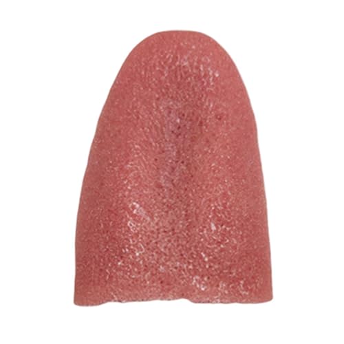 Jokes für Kinder, elastisch, Farce Jokes, Halloween, elastisch, Halloween-Füllung, realistisches Spielzeug, Halloween, Farcen, Spielzeug für Erwachsene Jokes für Kinder, elastisch, Farce Jokes, Halloween, elastisch, Halloween-Füllung, realistisches Spielzeug, Halloween, Farcen, Spielzeug für Erwachsene von Generic