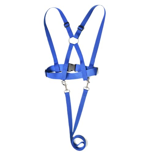 Kinder Spielen Pferdeleine - Pferdegurt - Tragen Sie resistente Reitausrüstung | Outdoor -Aktivitätsrolle Spiel Spiel für Freunde Familien Teenager Mädchen von Generic