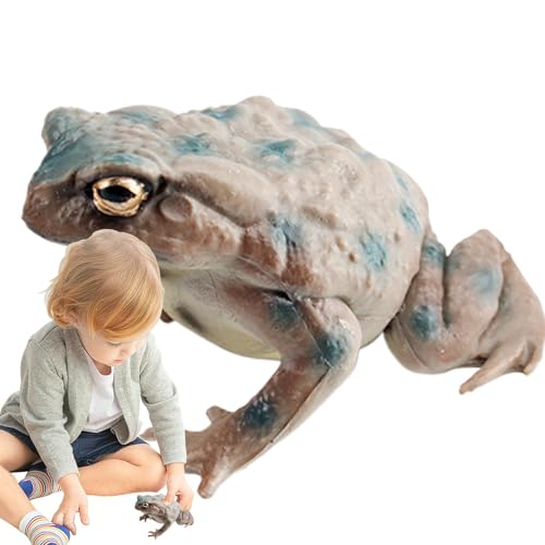 Kinderfroschspielzeug, Spielzeugspielzeugfigur - Lustige Frosch -Figuren Model Frosch Figur, Miniaturfiguren Zu Sammeln, Niedliche Tiermodelle P. Kinderfroschspielzeug, Spielzeugspielzeugfigur - Lustige Frosch -Figuren Model Frosch Figur, Miniaturfiguren Zu Sammeln, Niedliche Tiermodelle P. von Generic