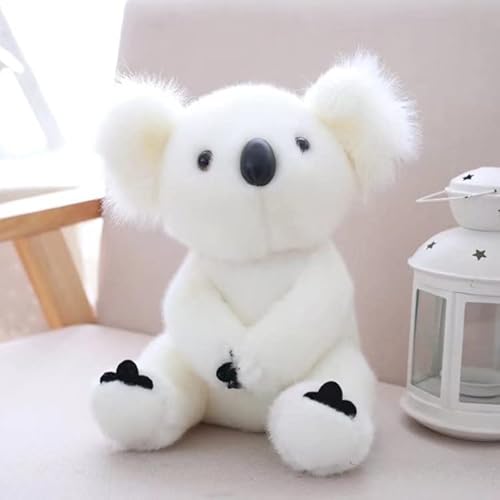 Koala Plüschspielzeug gefülltes Tier Spielzeug Plüsch Tierpuppe, gefüllte Tier Koala Bär Plüsch Spielzeug Tierbaby Spielzeug White 14cm Koala Plüschspielzeug gefülltes Tier Spielzeug Plüsch Tierpuppe, gefüllte Tier Koala Bär Plüsch Spielzeug Tierbaby Spielzeug White 14cm von Generic