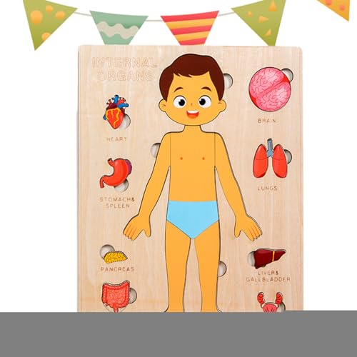 Körperteile Buch Für Kleinkinder 1-3 | Holz Lernspielzeug Menschliche Körperteile - Kleinkinder Reisespielzeug Für Schule Jugendliche Studenten Kinder Bildung Lernen von Generic