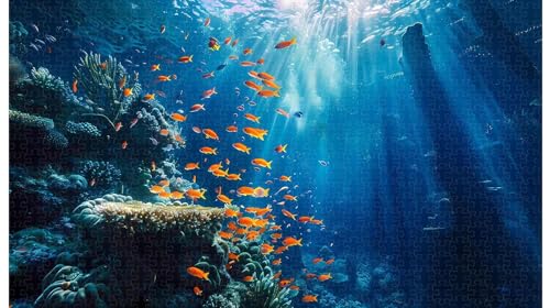 Korallen-Fisch-Farbresonanz: Naturkunst-Puzzle 1000 Teile (C ; 1000 Piece) von Generic