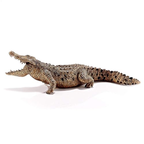 Krokodil -Figur, Krokodilspielzeug, Krokodilspielzeug, Krokodilspielzeug mit beweglicher Krokodil -Action -Figur, Bewegung von Krokodilspielzeug, von Krokodilspielen, Kollektion Science Krokodil -Figur, Krokodilspielzeug, Krokodilspielzeug, Krokodilspielzeug mit beweglicher Krokodil -Action -Figur, Bewegung von Krokodilspielzeug, von Krokodilspielen, Kollektion Science von Generic