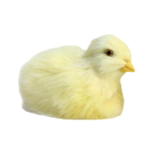 Küken-Plüschspielzeug – aus Plüsch, niedliches Spielzeug zum Aufziehen | Plüschtier Huhn aus Plüsch, Lernspielzeug für Tiere, Figur von Generic