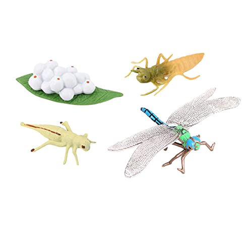 Lebenszyklus Figuren Rotäugige Baumfroschfiguren Dragonfly Figuren Biologiewissenschaft Tierwachstum Zyklus für Jungen Mädchen Kleinkinder Lebenszyklus Figuren Rotäugige Baumfroschfiguren Dragonfly Figuren Biologiewissenschaft Tierwachstum Zyklus für Jungen Mädchen Kleinkinder von Generic