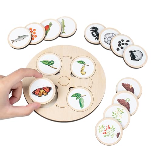 Lebenszyklus-Puzzle, Spielzeug aus Holz für Kleinkinder, Lebenszyklus, aus Holz, Tierfiguren von Generic