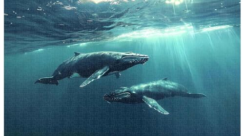 Lichtsäule Dolphin Leap: Marine Optical Art Puzzle 1000 Teile (C ; 1000 Piece) von Generic