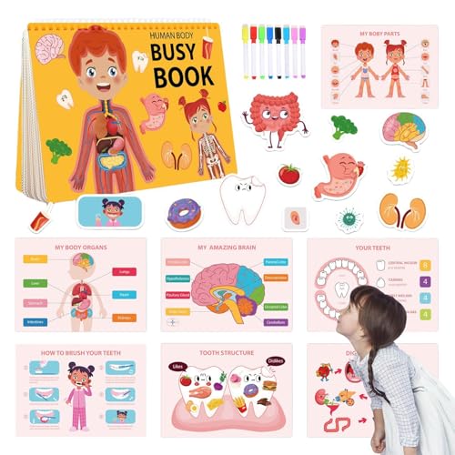Menschlicher Körperbeschäftigung Buch, Body -Busy -Buch - Kindergärtner -Lernaktivitäten im Vorschulalter | Sensorische Bildungsreise-Anatomie-Buchspielzeug für und Mädchen 4-8 Jahre Menschlicher Körperbeschäftigung Buch, Body -Busy -Buch - Kindergärtner -Lernaktivitäten im Vorschulalter | Sensorische Bildungsreise-Anatomie-Buchspielzeug für und Mädchen 4-8 Jahre von Generic