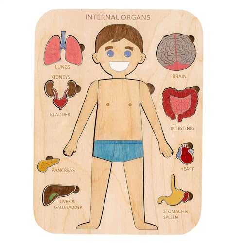 Menschliches Körperpuzzle - Jigsaw Puzzle Holzspielzeug, Körperstruktur Holzrätsel | Pädagogische Puzzles Menschliche Körperteile, montesori Interaktive Lernrätsel Für Kinder Im Vorschulalter Kinder Menschliches Körperpuzzle - Jigsaw Puzzle Holzspielzeug, Körperstruktur Holzrätsel | Pädagogische Puzzles Menschliche Körperteile, montesori Interaktive Lernrätsel Für Kinder Im Vorschulalter Kinder von Generic