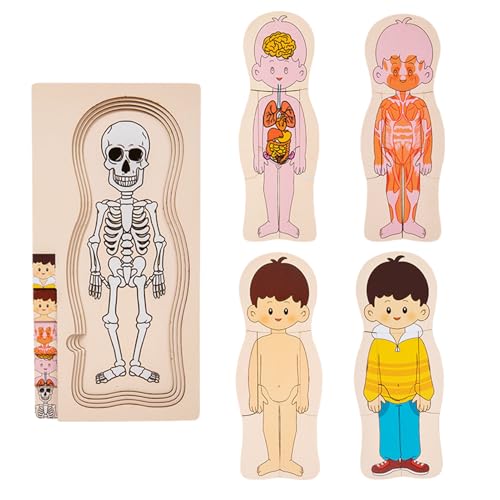 Menschliches Körperpuzzle für Kinder - Anatomie -Modell -Kit, Bildungspuzzletafel, Lernaktivität Set | Praktisches Spiel führt Körpersysteme ein und engagiert Stücke unterstützen das Verständnis der S von Generic