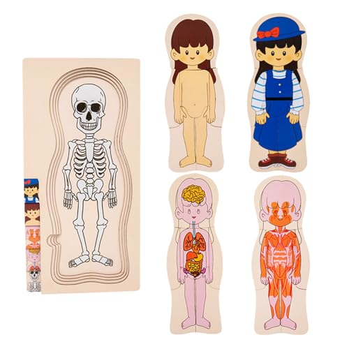 Menschliches Körperpuzzle für Kinder - Interaktives Lernspiel, Bildungssägespielzeug, lustiges Anatomie -Puzzle | Buntes geschichtete Design lehrt Organe, langlebiges Puzzle verbessert den Wissen mens von Generic