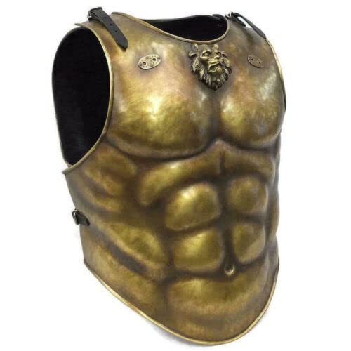 Mittelalterliche Muskelbrustplatte Spartanische Muskeljacke Kostüm Braun Brustplatte tragbar Brustplatte Reenactment SCA LARP Kostüme Rüstung Brustplatte Mittelalterliche Muskelbrustplatte Spartanische Muskeljacke Kostüm Braun Brustplatte tragbar Brustplatte Reenactment SCA LARP Kostüme Rüstung Brustplatte von Generic