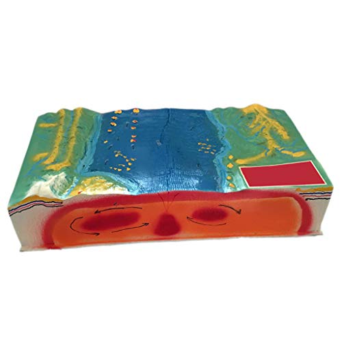 Modell Zur Plattenstruktur Und Oberflächenmorphologie - Geographie-Unterrichtsmodell - Für Den Geographie-Unterricht Aus Harzmaterial von Generic
