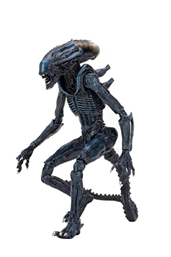 NECA Reel Toys Aliens Arachnoid Alien 2021 Actionfigur 22,9 cm von Generic