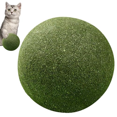 Natürliche Catnip Balls, 10 cm Cat Ball Catnip Toys – Natural Healthy Lickable Lickable Auto-Relieving Ball Super Large Catnip Toys Natürliche Catnip Balls, 10 cm Cat Ball Catnip Toys – Natural Healthy Lickable Lickable Auto-Relieving Ball Super Large Catnip Toys von Generic
