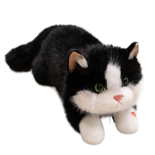 Niedliche Katze Plüschtier - Nette Plüsch Katze Spielzeug Puppe | Interaktives Spielzeug Mit Sound Für Home Kinderzimmer Dekoration Für Kinder Kleinkinder Kleinkinder Mädchen Schlafzimmer Wohnzimmer von Generic