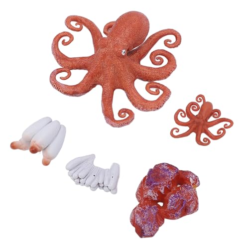 Oktopus-Lebenszyklus-Lernspielzeug, Simulierte, Pädagogisch Verbesserte Interaktion. 5-teilige Oktopus-Figur für zu Hause von Generic