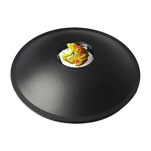 Optische Projektion, Visuelles Illusionsbild, Kindergeschenke, 15,2 cm, Sofortiges Hologramm Bild, 3D Effekt Spielzeug für Jungen Und Mädchen, 3D, Frosch von Generic