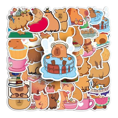 Pack Autocollants Autocollants Crual Sticker Stickerba Diyraflas Casherbalas Casherba Cashbar Cashbarra Hyrfuge Aufkleber Capba von Generic