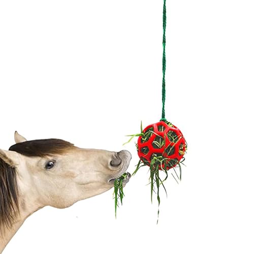 Treat Ball Hay Feeder - Hängende Stable Spielzeug | Stressrelief Fütterung Spielzeug für , Ziege, Schaf - langlebig hängendes Design, fördert natürliches Futter, ideal für Ställe, Koppel Treat Ball Hay Feeder - Hängende Stable Spielzeug | Stressrelief Fütterung Spielzeug für , Ziege, Schaf - langlebig hängendes Design, fördert natürliches Futter, ideal für Ställe, Koppel von Generic