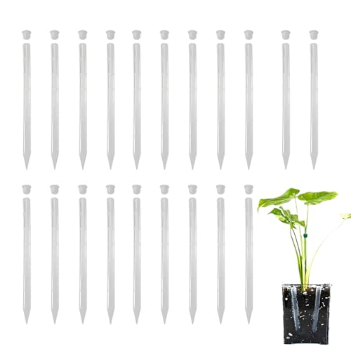 Pflanzenwurzelbelüfter, 20 Stück, Belüftungspfahl für Pflanzenwurzel, 24 cm, verhindert Überwässerung von Spikes für Tomaten, Garten, Gras, Innenhof, Outdoor, Gemüse von Generic