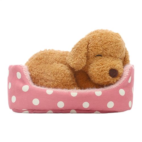 Plüschtiere, Plüschtiere, Hundekatze mit Schreibtischdekoration, kuschelige und weiche Plüschtiere, Kuschelbegleiter aus Plüsch für Erwachsene Plüschtiere, Plüschtiere, Hundekatze mit Schreibtischdekoration, kuschelige und weiche Plüschtiere, Kuschelbegleiter aus Plüsch für Erwachsene von Generic
