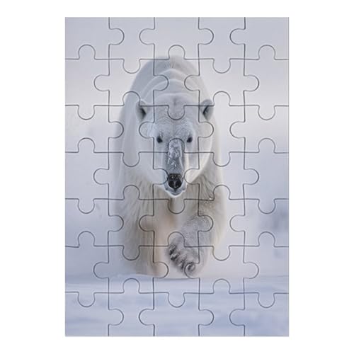 Polar Bear - 1000 Teile Puzzle – - Hochauflösendes - Gelegenheitsspiel – 1000 Teile Holzpuzzle 35 von Generic