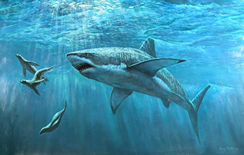 Puzzle 1000 Teile Unterwasserhaie, Delfine, Robben 75 * 50Cm von Generic
