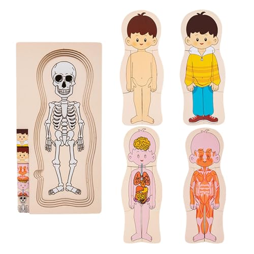 Puzzle der menschlichen Struktur - Interaktives Anatomie-Puzzle, Körperpuzzle für Kinder | Lernpuzzle aus Holz, Lernspielzeug 'Anatomie, Spielzeug für die Anatomie von Generic