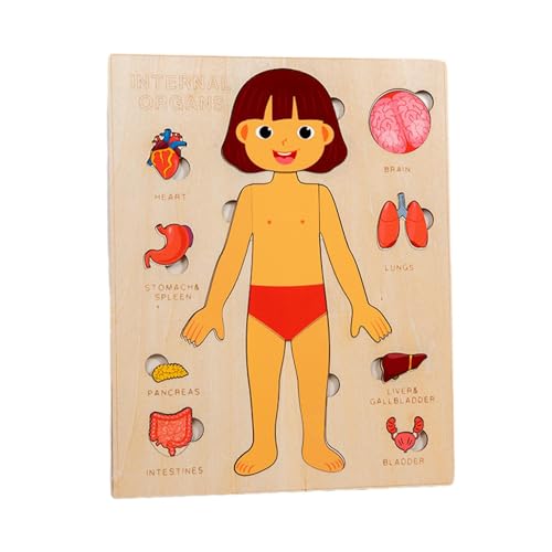 Puzzle des menschlichen Körpers – Holzpuzzle des menschlichen Körpers | Tragbares Puzzlebrett für den Kindergarten, pädagogisches Puzzlespielzeug für wissenschaftliches Erwachen Puzzle des menschlichen Körpers – Holzpuzzle des menschlichen Körpers | Tragbares Puzzlebrett für den Kindergarten, pädagogisches Puzzlespielzeug für wissenschaftliches Erwachen von Generic