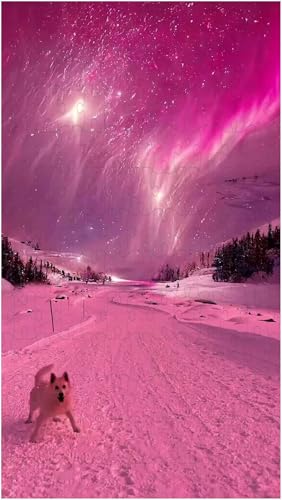 Puzzle für Erwachsene, Winterschneeszene (C ; 1000 Piece) von Generic