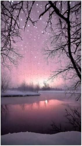 Puzzle für Erwachsene, Winterschneeszene (Y ; 1000 Piece) von Generic