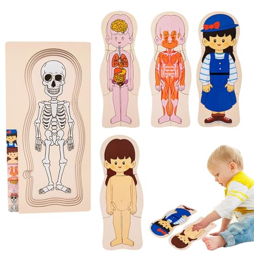Puzzle für die Struktur des menschlichen Körpers, Holzpuzzle des menschlichen Körpers, Skelettspielzeug, Anatomie Lernanatomie, Skelettspielzeug, Modellpuzzle Puzzle für die Struktur des menschlichen Körpers, Holzpuzzle des menschlichen Körpers, Skelettspielzeug, Anatomie Lernanatomie, Skelettspielzeug, Modellpuzzle von Generic