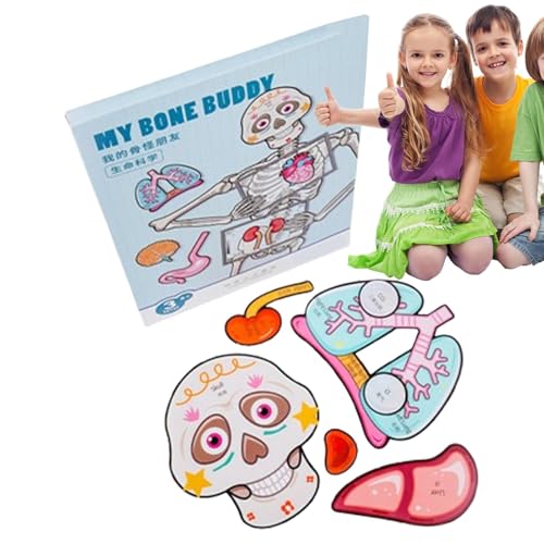 Puzzle für menschliche Anatomie | Anatomie-Spielset des menschlichen Körpers | Das menschliche Puzzlespiel für Menschen Puzzle für menschliche Anatomie | Anatomie-Spielset des menschlichen Körpers | Das menschliche Puzzlespiel für Menschen von Generic