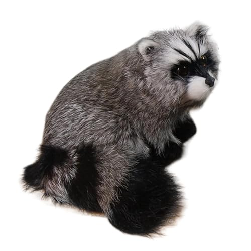 Raccoon -Modell, Figur, Mock Wraccoon Dekoration -Anornament & Figur Lernbildungspädagogik, echtes -Familien -Aktionsmodell, Partyzubehör, Wissenschaftskollektion Raccoon -Modell, Figur, Mock Wraccoon Dekoration -Anornament & Figur Lernbildungspädagogik, echtes -Familien -Aktionsmodell, Partyzubehör, Wissenschaftskollektion von Generic