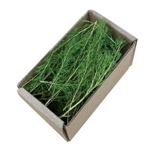 Realistische Miniatur Graslandschaft mit Buschigem, Modell Feengarten Geländebau für Eisenbahnen, Züge, Dioramen, Feengarten, Sommergrün von Generic
