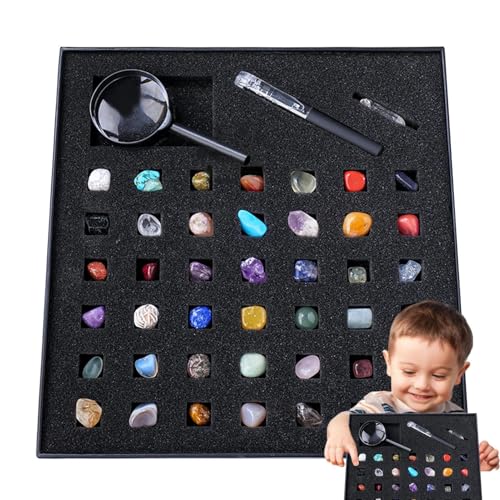 Rock-Kollektion für Kinder - Mineral Bildung Sammlung - Enthält natürliche Perle, Kristalle und Mineral Edelsteine Sammlung Geology Science STEM Geschenke für und Mädchen von Generic