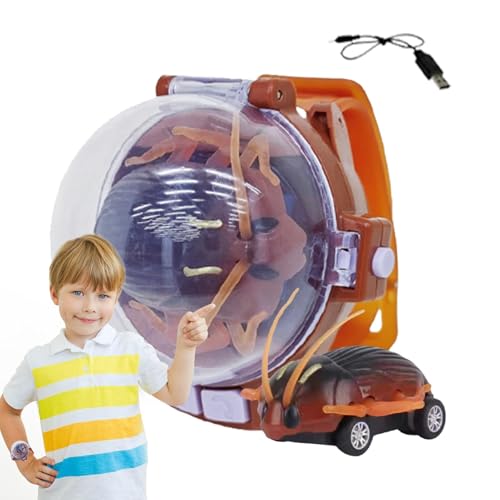 Schauen Sie sich das ferngesteuerte Auto an, schauen Sie sich das ferngesteuerte Spielzeugauto an, Kakerlaken-Puppen-Spielzeug für Rennwagen, Langstreckenrennauto, von Generic